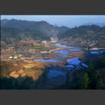 十堰坪