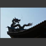 龙影