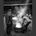 死猪不怕开水烫