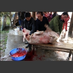 垂死挣扎