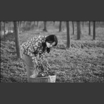乡味
