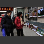 喜看老年大学陈复苏同学习作展《组照8》