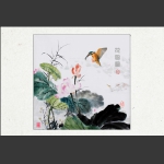 创意摄影--花鸟图