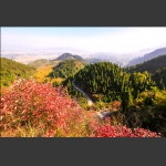 叶映崇山秋意浓