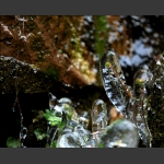 滴露冰柱-3(组照