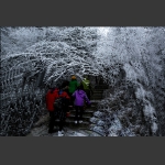 雪中游之四