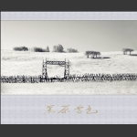 荒原雪色