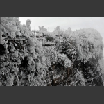 冰雪世界2