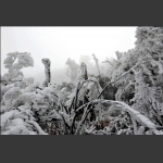 冰雪世界3