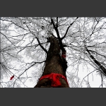 冰雪世界13