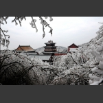冰雪世界11