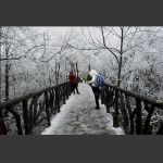 冰雪世界19