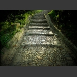路