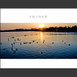 夕阳下的音符