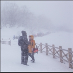 风雪情
