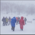 风雪无阻