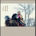 大漠雄风
