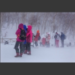 避风雪