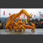 花脸龙
