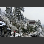 峨眉春雪