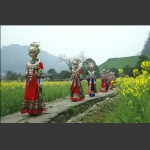 春光丽人行（一）