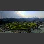 田园