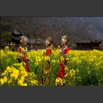 花样年华