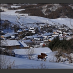 雪村印象