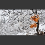 瑞雪丰年