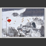 雪村正月正