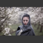 《洁》