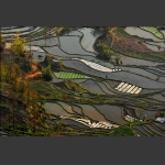 云南老虎嘴梯田2