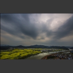 雨后春光