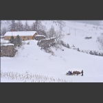 雪村正月2