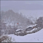 雪村正月5
