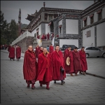 塔尔寺僧