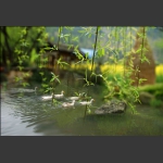 一帘春梦
