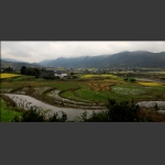 田园风光