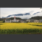 乡村风光