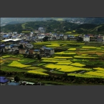 小山村5