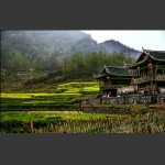 乡村春早（2）