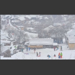 雪落松岭