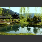 杨柳青青