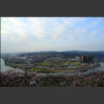 新城一隅春色