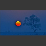 最美不过夕阳红