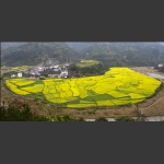 春暖花开