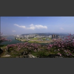 新城