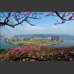 春到庸城