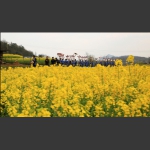 中山村文化生活