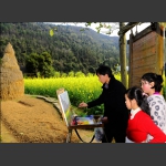 风景如画